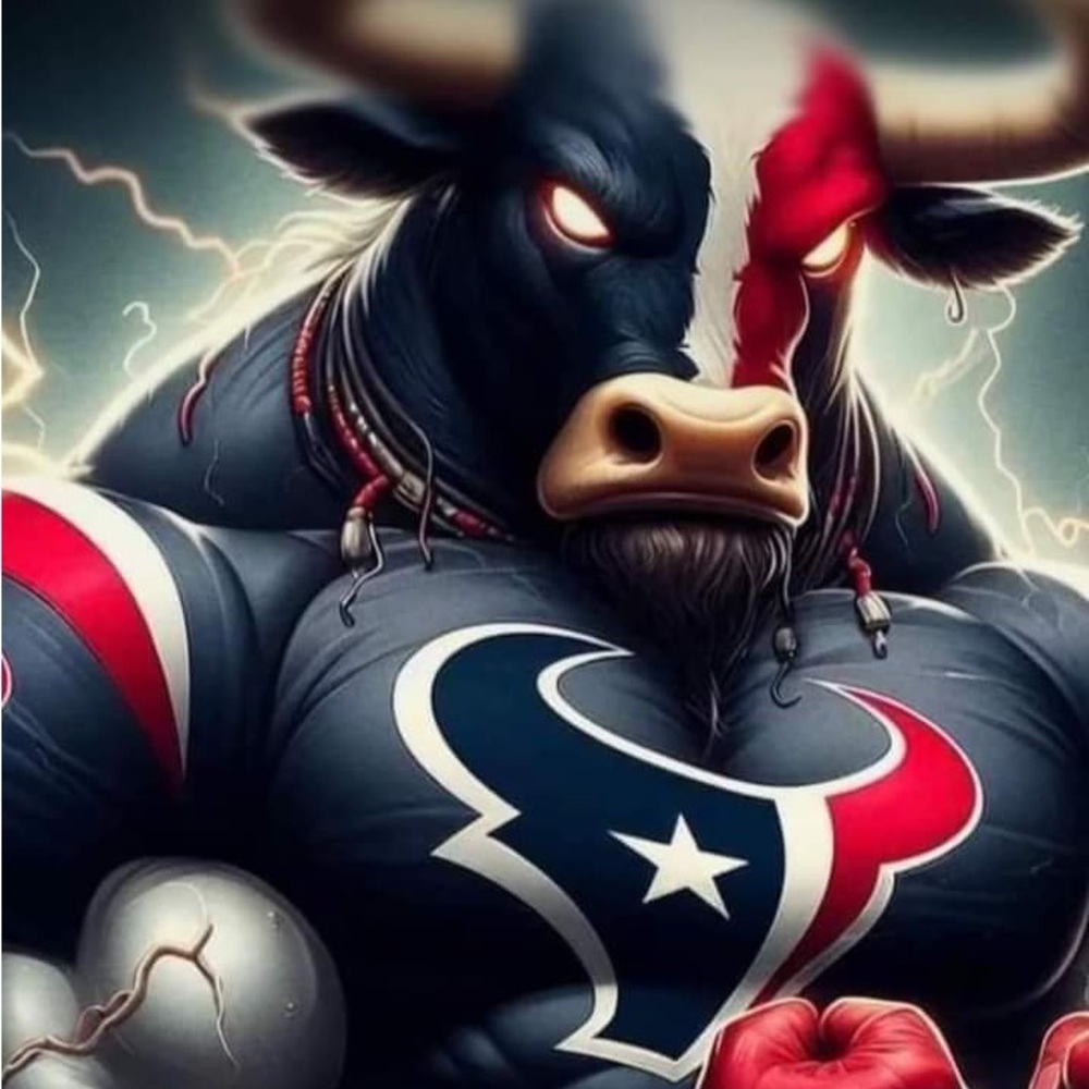 Houston Texans Fans T Shirts